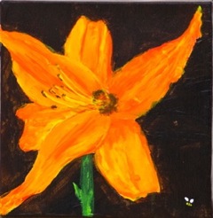 Daylily